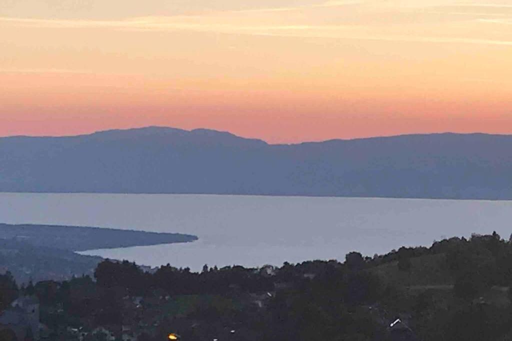 Duplex En Station Vue Sur Lac Leman Thollon-les-Memises Exterior foto