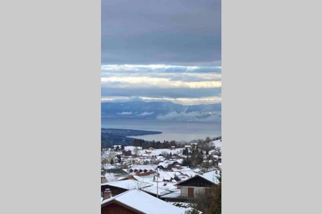 Duplex En Station Vue Sur Lac Leman Thollon-les-Memises Exterior foto